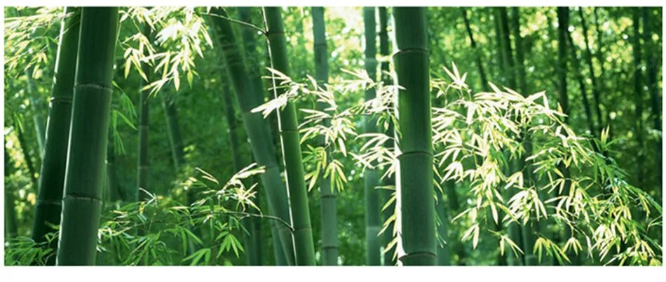 Thick Bamboo Cutting Board