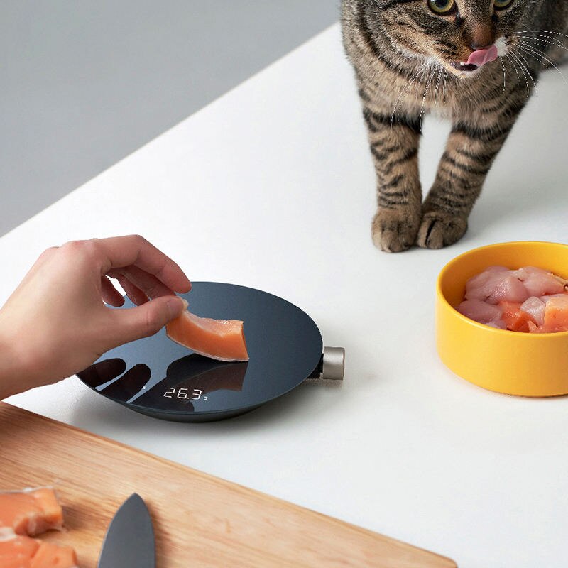 Mini LED Smart Kitchen Scale