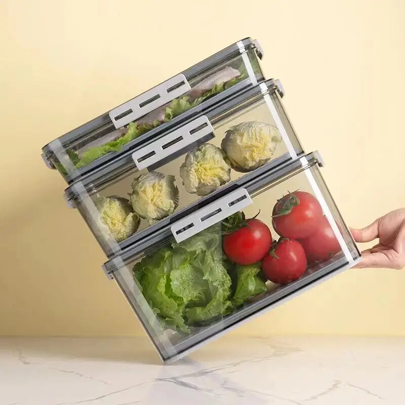 Refrigerator Food Storage Container
