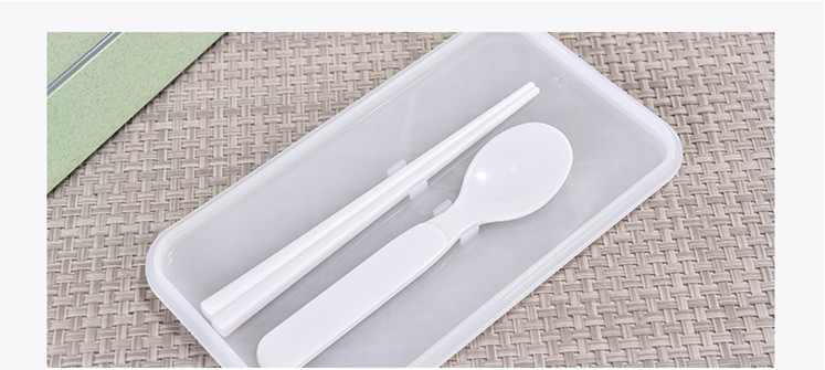 Wheat Straw Double Layers Lunch Box with Spoon
