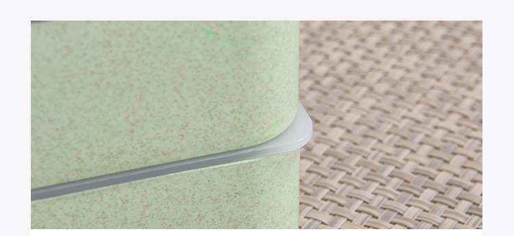 Wheat Straw Double Layers Lunch Box with Spoon