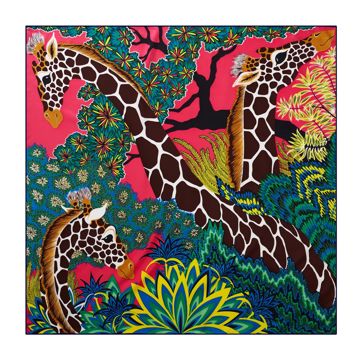 Women's Exotic Print Scarf