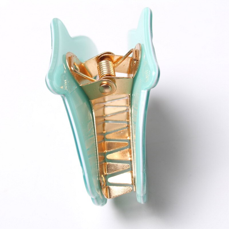 Shell Shaped Acrylic Hair Claw