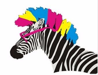 Men's Acid Zebra Socks