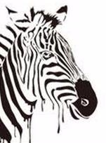 Men's Acid Zebra Socks