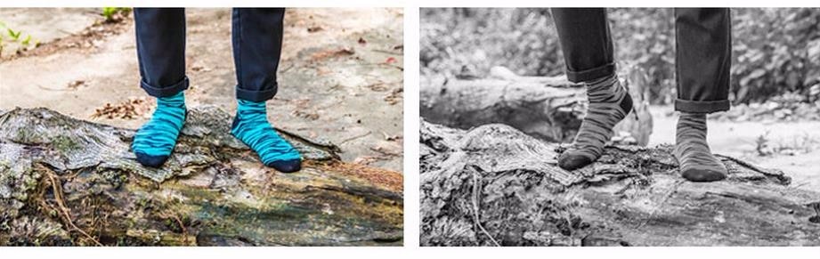 Men's Acid Zebra Socks