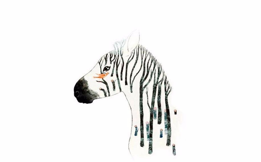 Men's Acid Zebra Socks