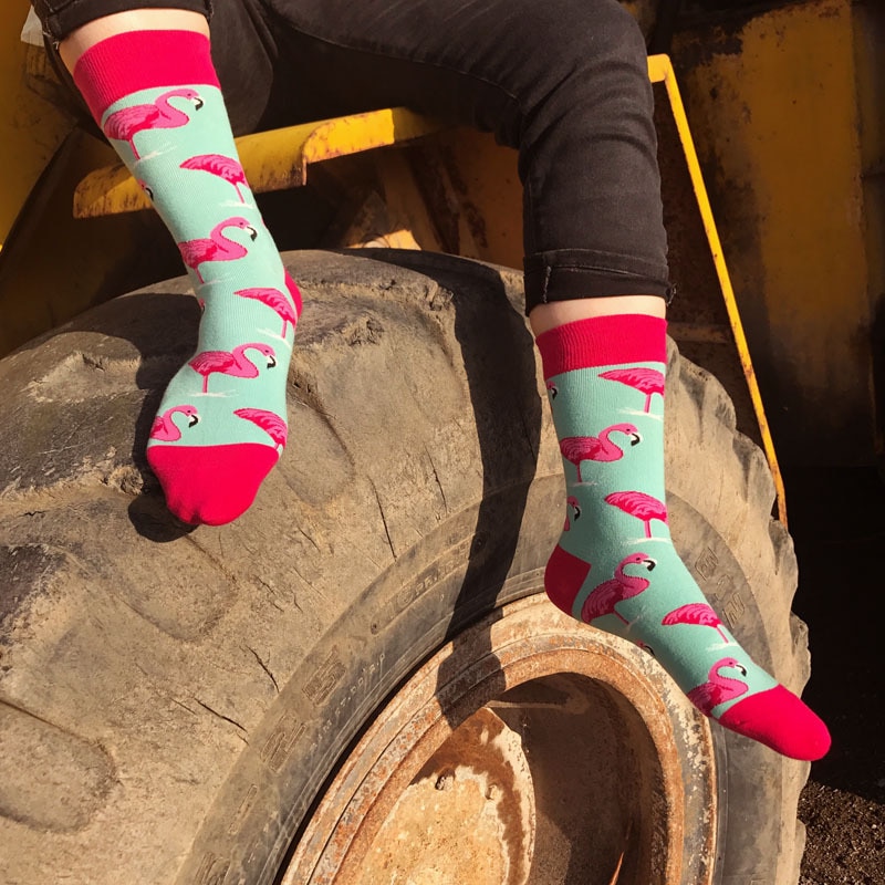 Men's Pink Flamingo Socks 5 Pairs Set
