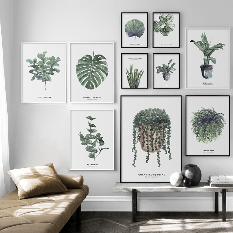 Botanica Canvas Poster